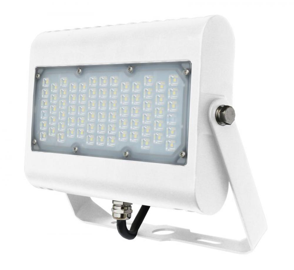 SLIM LED FLOOD, 100~277V, 30W, 1500LM, 3000K, White, Trunnion, IP65, UL, DLC