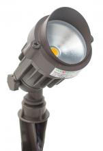 Westgate MFG C1 LF12-6W-27K-KN - 12-VOLT AC/DC LED GARDEN LIGHT