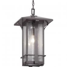  P550045-020 - P550045-020 1-100W MED HANGING LANTERN