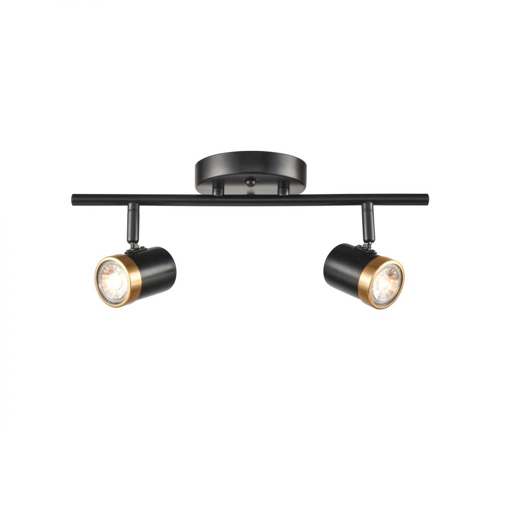 2 light track fixture