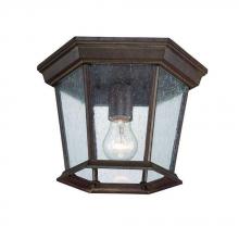 Acclaim Lighting 5275BW/SD - Dover Collection Ceiling-Mount 1-Light Outdoor Burled Walnut Light Fixture