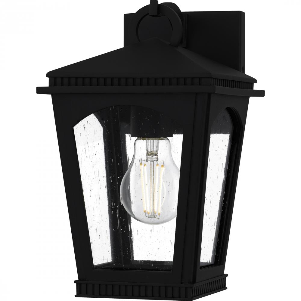 Huck 1-Light Earth Black Outdoor Wall Lantern