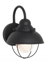Generation Lighting 8870EN3-12 - Sebring transitional 1-light LED outdoor exterior small wall lantern sconce in black finish with cle