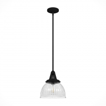 Hunter 19247 - Hunter Cypress Grove Natural Black Iron with Clear Holophane Glass 1 LT Pendant Ceiling LT Fixture