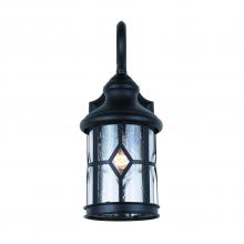 Canarm IOL208BK - Outdoor 1 Light Outdoor Lantern, Black Finish