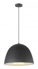 ET2 E24916-BKSBR - Fungo-Single Pendant