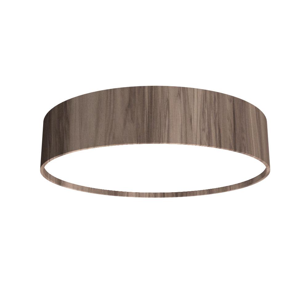 Cylindrical Accord Ceiling Mounted 529 LED